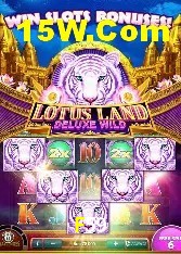 Casino Ao Vivo F59